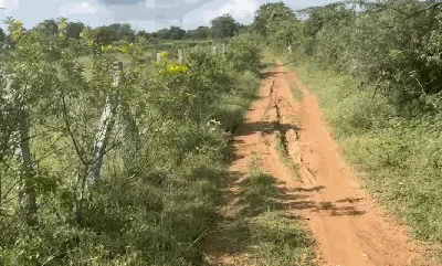 3 acres 30 guntas Land in Mucherla, Ranga Reddy - photo 4