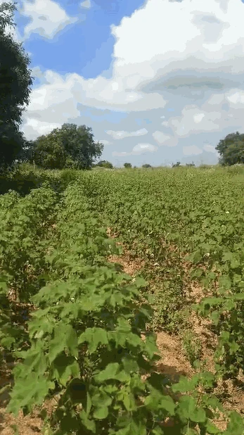1 acre Land in Rampur, Siddipet - photo 1