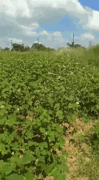 1 acre Land in Rampur, Siddipet - photo 2