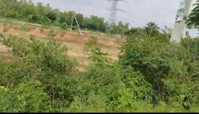 8 acres 28 guntas Land in Lemoor, Ranga Reddy - photo 1