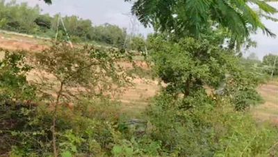 8 acres 28 guntas Land in Lemoor, Ranga Reddy - photo 2