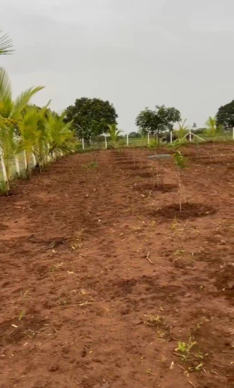 12 guntas Land in Wargal, Siddipet - photo 1