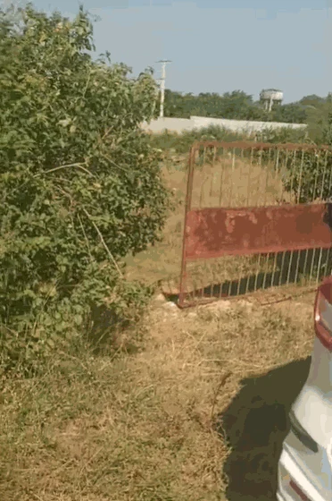 1 acre 8 guntas Land in Kandukur, Ranga Reddy - photo 1
