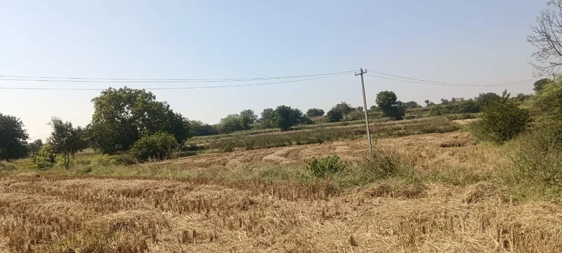37 guntas Land in Damarakunta, Siddipet - photo 1