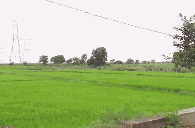 1 acre Land in Sarvaravulapalle, Ranga Reddy - photo 2