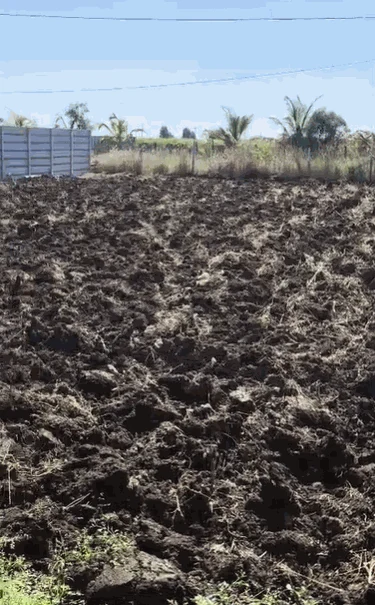 8 guntas Land in Damergidda, Ranga Reddy - photo 1