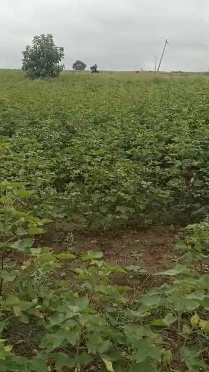 1 acre Land in Chityal, Vikarabad - photo 1