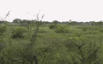 11 acres Land in Lemoor, Ranga Reddy - photo 2