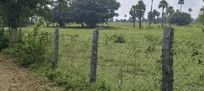 11 acres Land in Lemoor, Ranga Reddy - photo 5