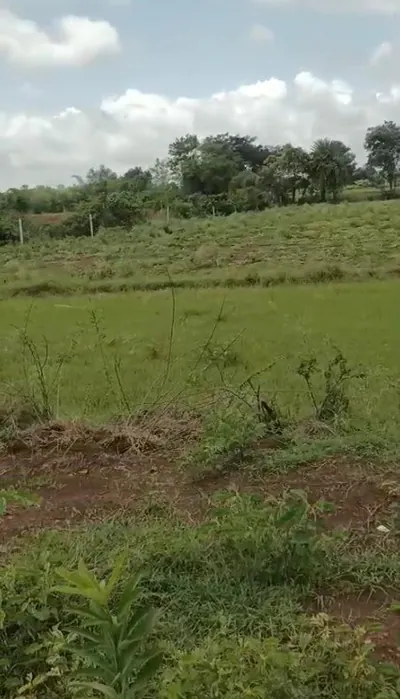 20 guntas Land in Khudavanpur, Vikarabad - photo 2