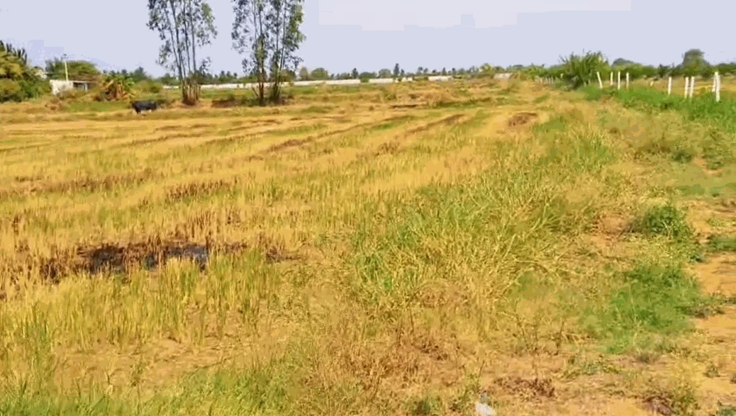 4 acres 20 guntas Land in Erravalle, Siddipet - photo 1