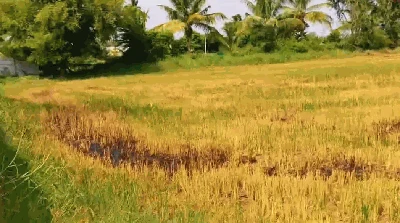 4 acres 20 guntas Land in Erravalle, Siddipet - photo 2