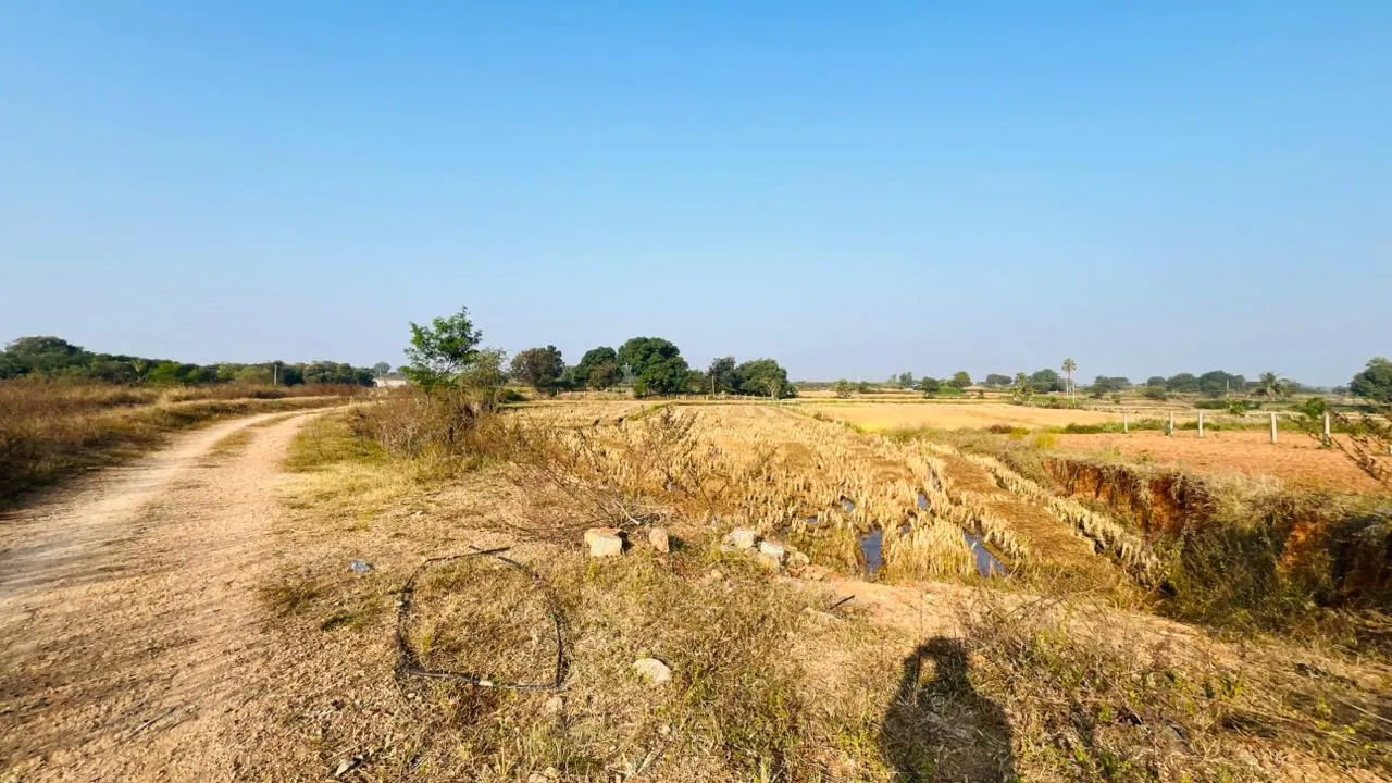 15 guntas Land in Damarakunta, Siddipet - photo 1