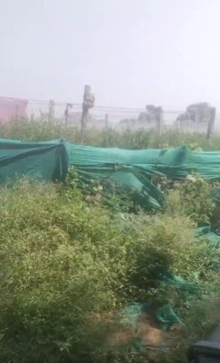 2 acres Land in Mulug, Siddipet - photo 1