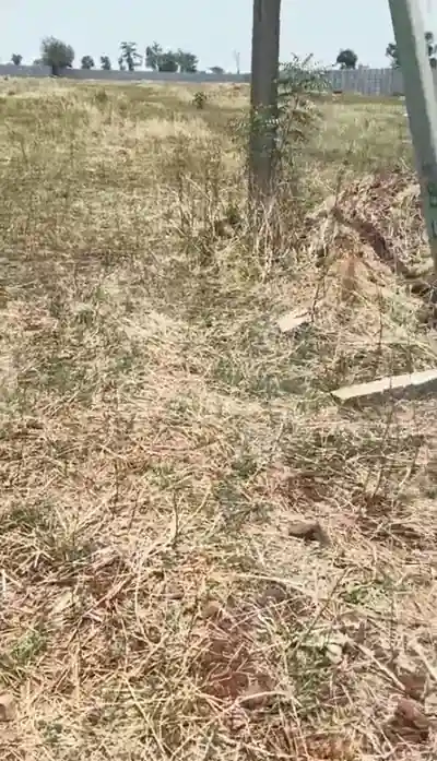 2 acres Land in Khudavanpur, Vikarabad - photo 2