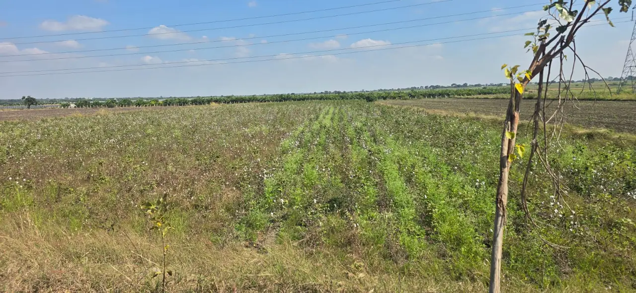 3 acres Land in Markook, Siddipet - photo 1