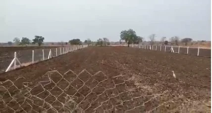 36 guntas Land in Somaram, Vikarabad - photo 1