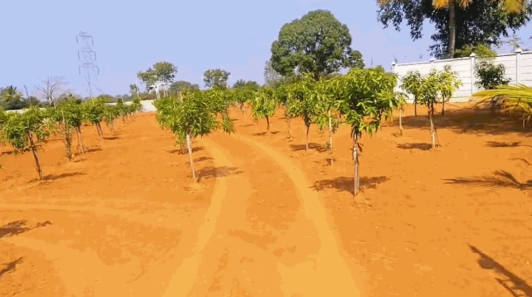 4 acres Land in Majidpalle, Siddipet - photo 1
