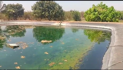 110 acres Land in Mudumal, Narayanpet - photo 3