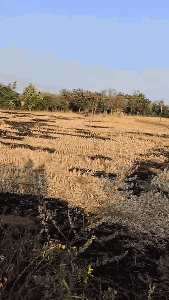 3 acres Land in Ainapur, Siddipet - photo 1
