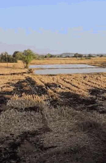 3 acres Land in Ainapur, Siddipet - photo 2