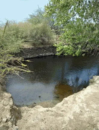 480 Acres Land in Kilavallanadu, Thoothukkudi - photo 3
