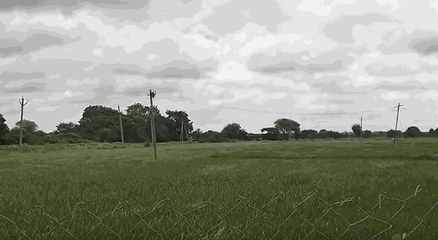 3 acres 25 guntas Land in Veluru, Siddipet - photo 1