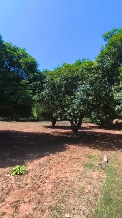 5 acres Land in Nanganur, Siddipet - photo 1