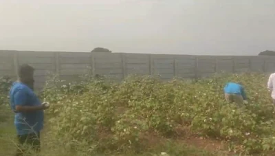 23 guntas Land in Hasthepur, Ranga Reddy - photo 2