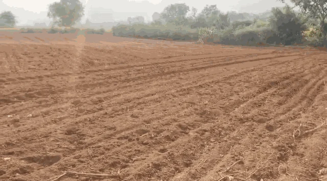 3 acres Land in Nednur, Ranga Reddy - photo 1