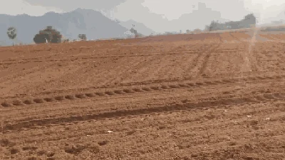 3 acres Land in Nednur, Ranga Reddy - photo 2