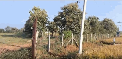 2 acres 30 guntas Land in Akanpalle, Ranga Reddy - photo 4
