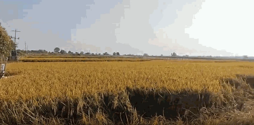 2 acres 30 guntas Land in Akanpalle, Ranga Reddy - photo 1