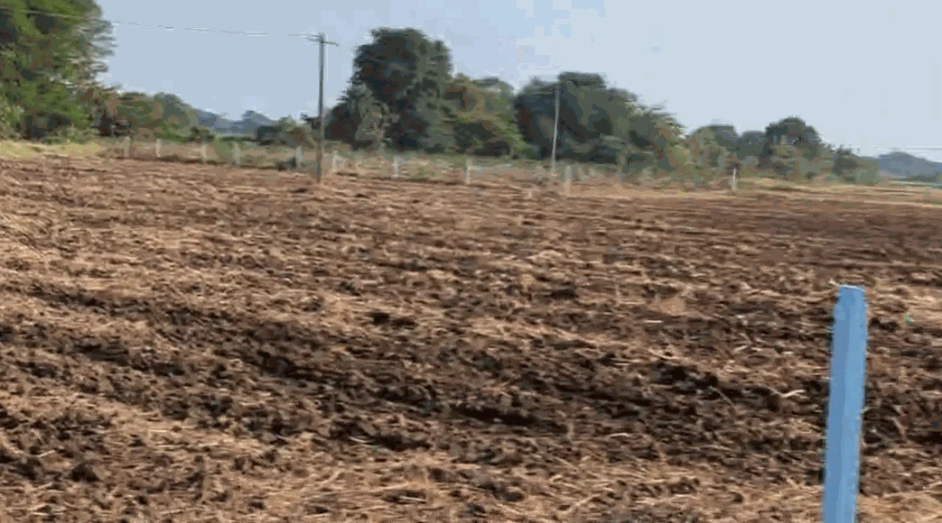 2 acres 3 guntas Land in Palepalle, Vikarabad - photo 1