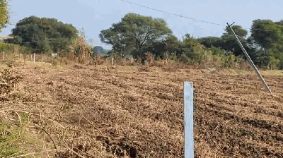 2 acres 3 guntas Land in Palepalle, Vikarabad - photo 2