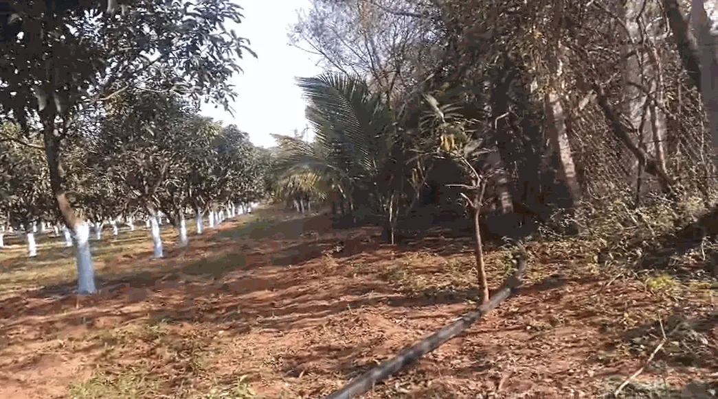 11 acres Land in Aliabad @ Adivimasjid, Siddipet - photo 1