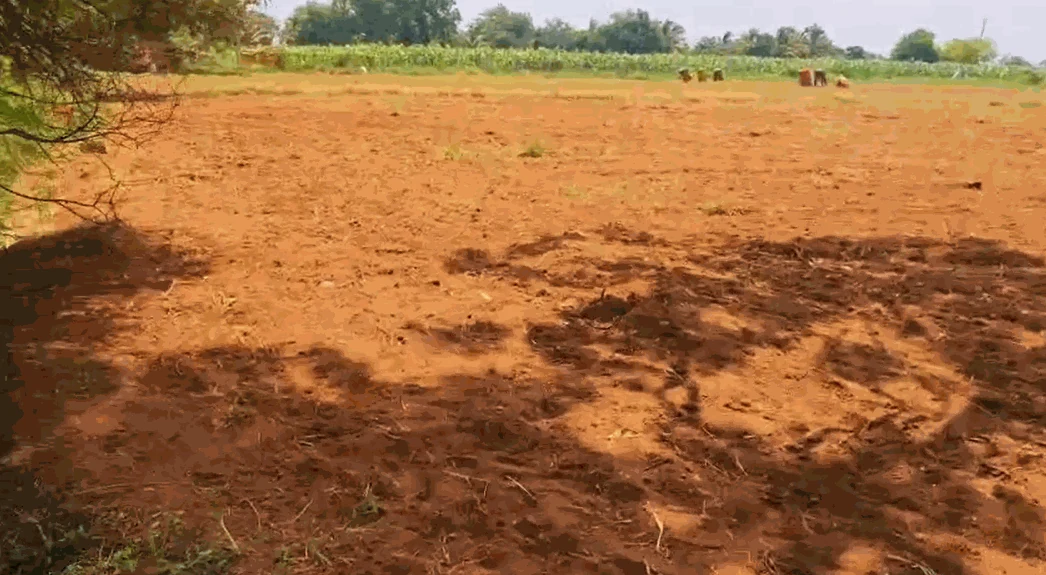 35 guntas Land in Markook, Siddipet - photo 1