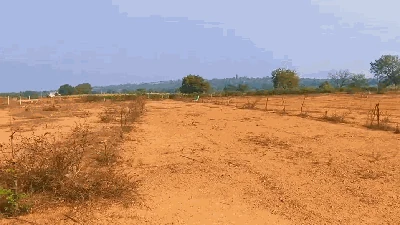 5 acres Land in Kothial, Siddipet - photo 3