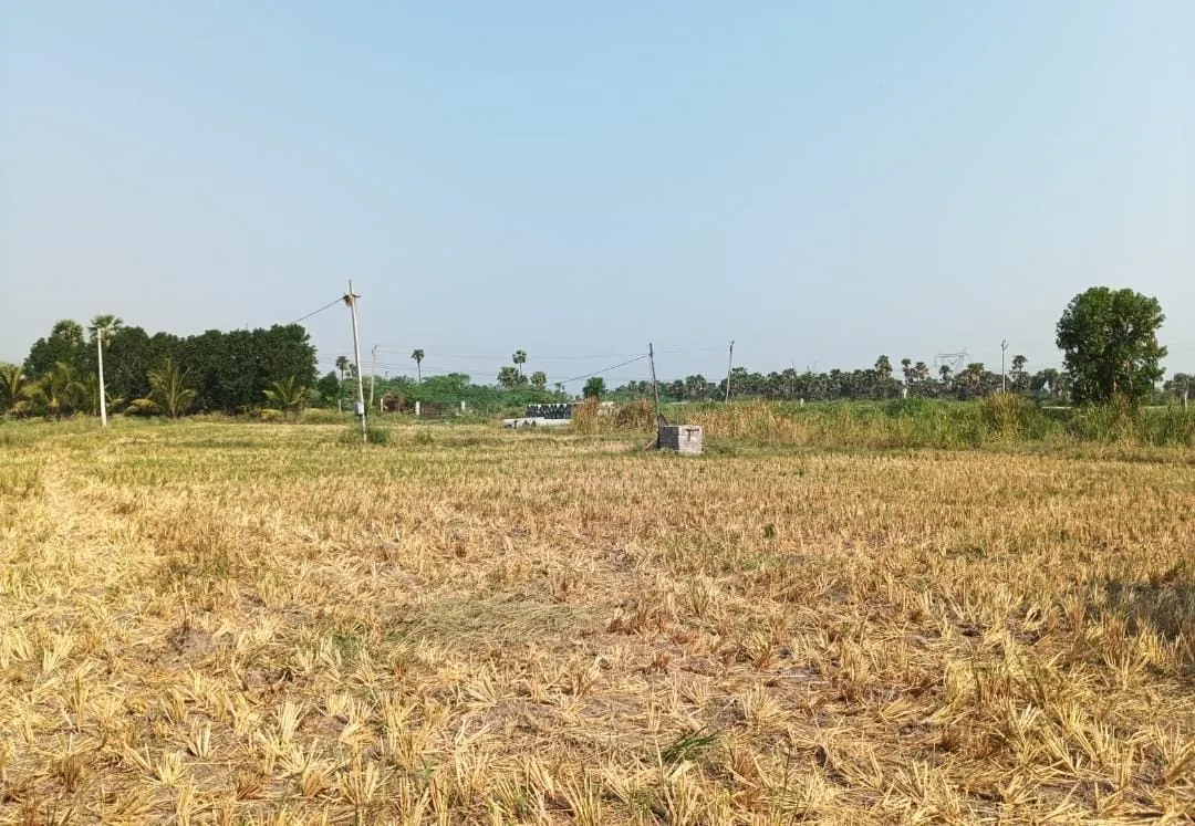 160 acres Land in patcharla, Jogulamba Gadwal - photo 1