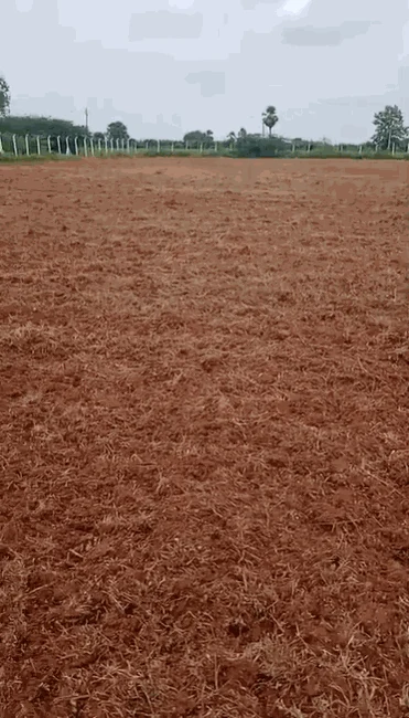 1 acre 22 guntas Land in Nanganur, Siddipet - photo 1