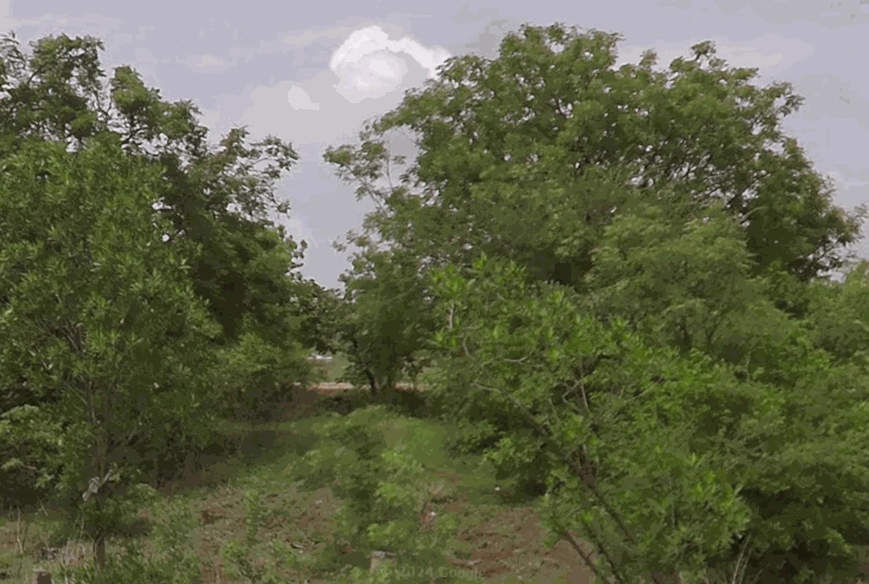 14 acres 21 guntas Land in Mudimyal, Ranga Reddy - photo 1
