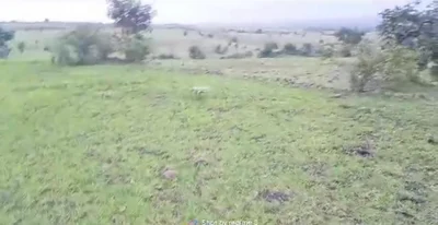 160 acres Land in Enkemori, Sangareddy - photo 2