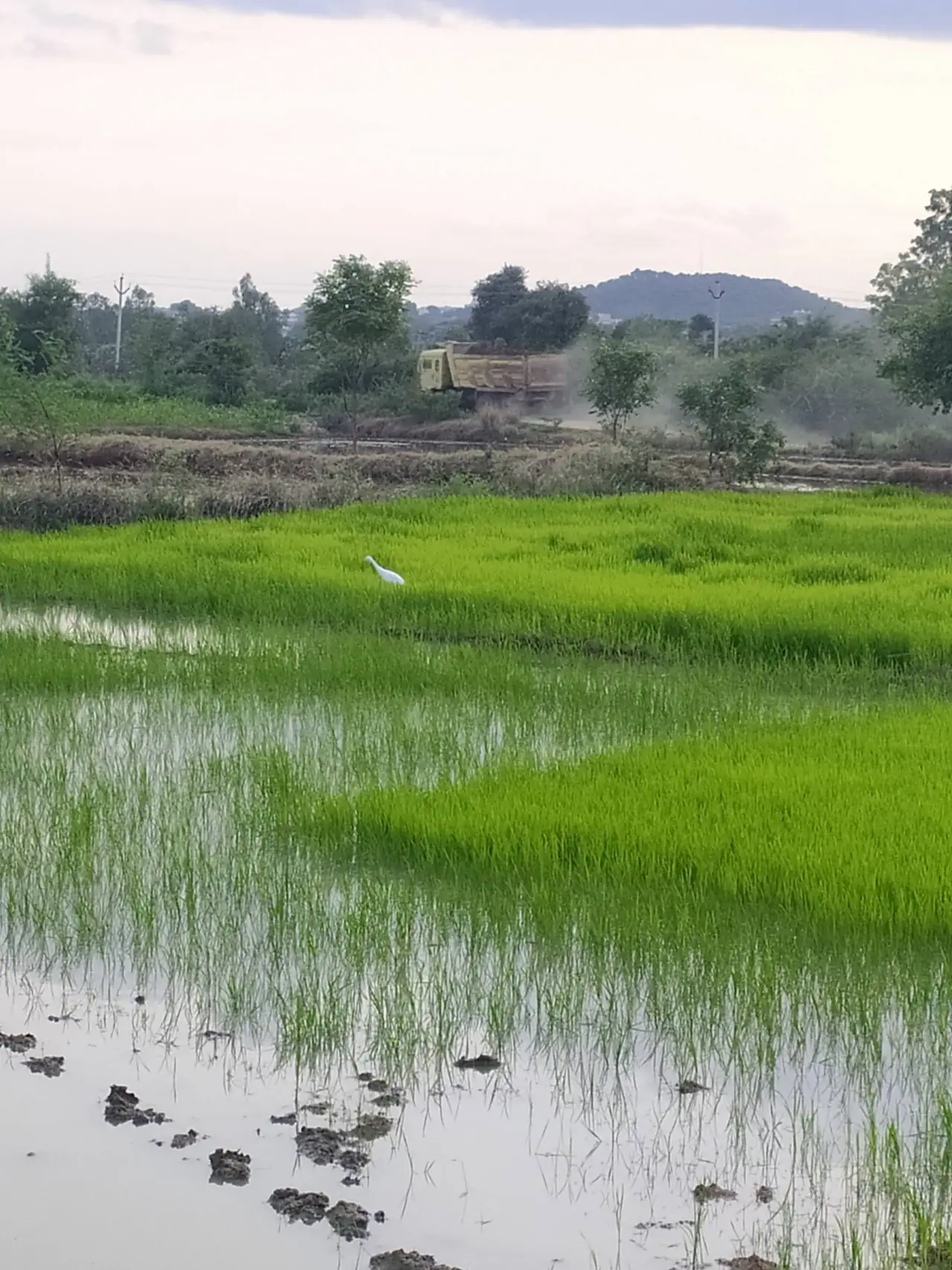20 acres Land in Dhoolumitta, Siddipet - photo 1