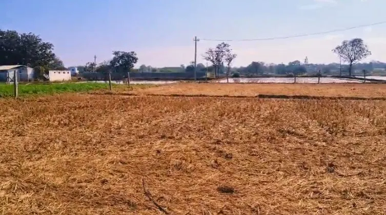 10 guntas Land in Markook, Siddipet - photo 1