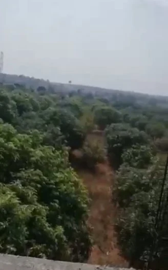 48 acres Land in Debbadaguda, Ranga Reddy - photo 1