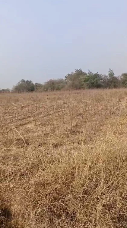 5 acres 38 guntas Land in Pulumamidi, Ranga Reddy - photo 1