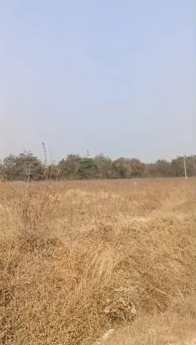 5 acres 38 guntas Land in Pulumamidi, Ranga Reddy - photo 2