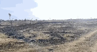 30 acres Land in Rajapur, Vikarabad - photo 2