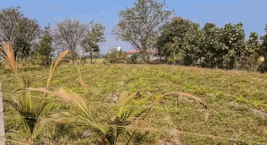 6 guntas Land in Sivar Venkatapur, Siddipet - photo 1