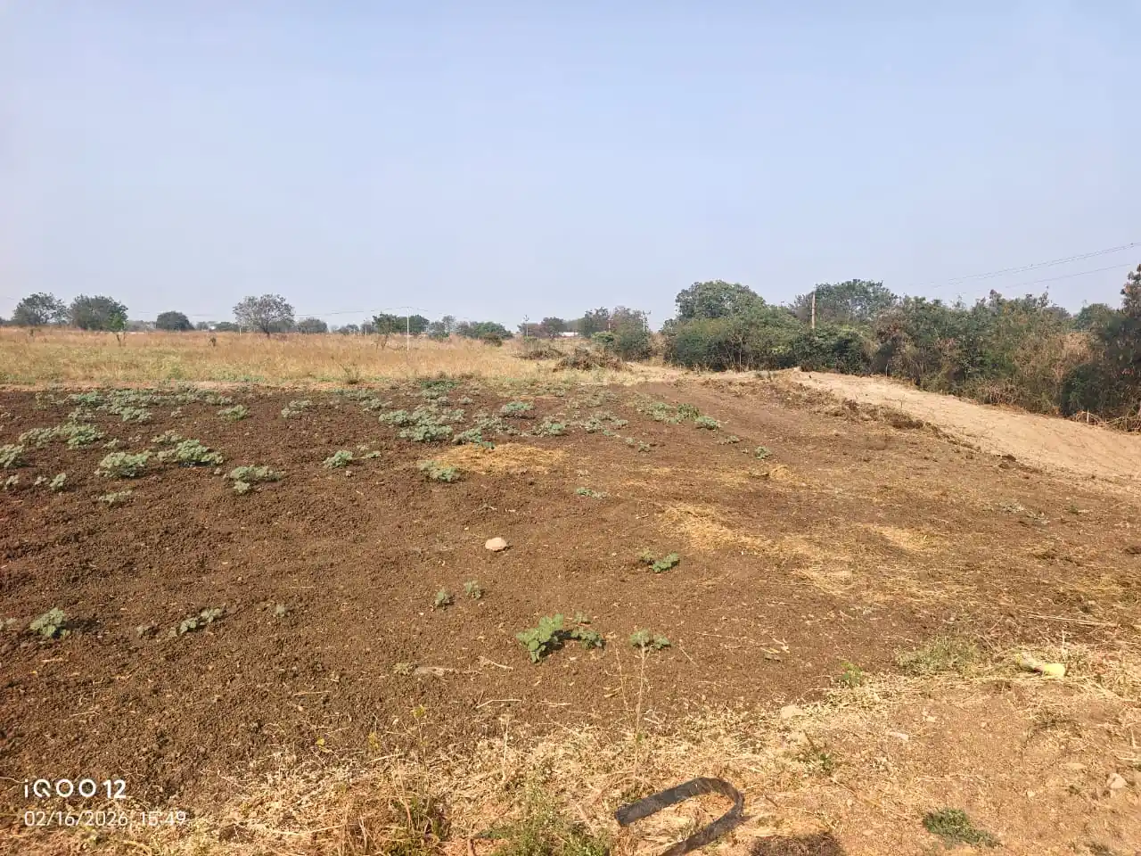 1 acre Land in Kanduwada, Ranga Reddy - photo 1